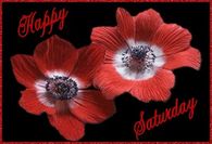 Happy Saturday
