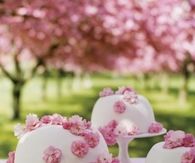 Cherry blossom princess cake