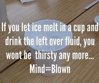 Drinking melted ice in a cup