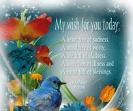 My wish for you today