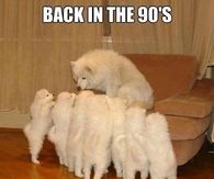 Back in the 90's