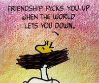 Friendship Picks You Up