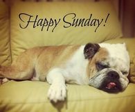 Happy Sunday