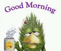 Good Morning