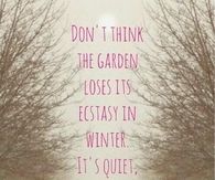 Don't think the garden loses it's ecstasy in winter, 
