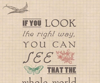 The whole world is a garden