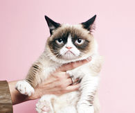 Mondays