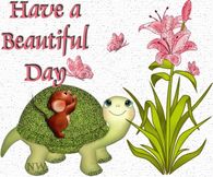 Have a beautiful day