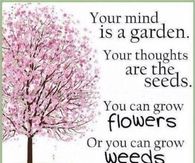 Your mind is a garden...