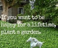 If you want to be happy for a lifetime, plant a garden