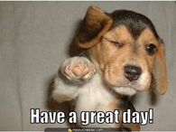Have a great day