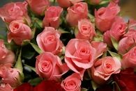 Bouquet of Roses