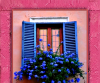 Pretty Window Flower Box