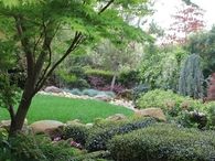 Lush garden oasis