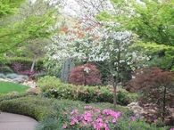 Refined plantings