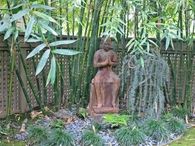 Quiet bamboo