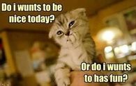 Have fun