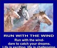 Run with the wind
