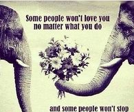Go where the love is