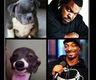 Close enough