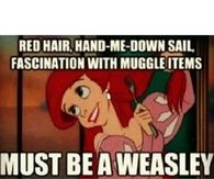 Must be a weasley