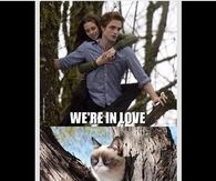 Were in love, youre both stupid