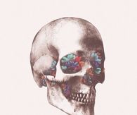 Floral SKull