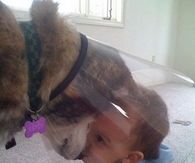 Cute Kiss