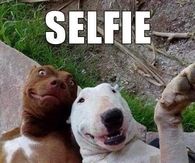 Selfie 