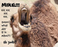 Oh Yeah Its Hump Day