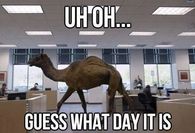 Uh Oh Guess What Day It Is
