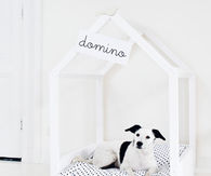 DIY Dog House