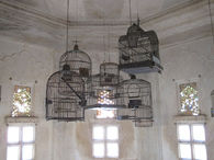 Hanging cages