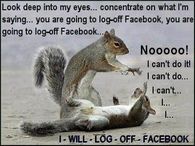 log off facebook