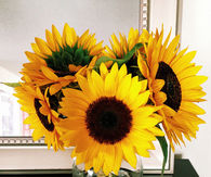 Vase of sunflowers
