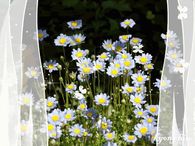 Spring View of Flowers