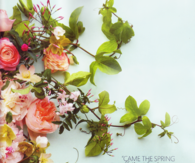 Spring Poem