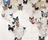 Spread Your Wings and Fly