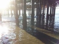 Dusk under the boardwalk