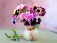 Colorful Pansies