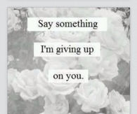 Say something im giving up on you