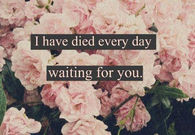 I have died everyday waiting for you