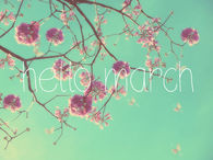 Hello March