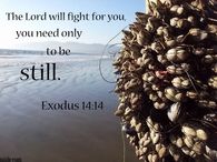 The Lord will fight for you