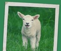 Hello March