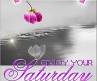 Enjoy Your Saturday