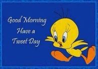 good morning