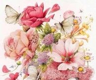 Spring Flowers