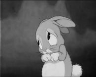 Crying Bunny