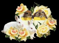 Bunnies for Easter